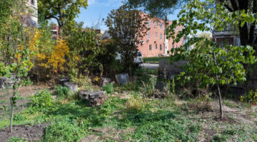 Vacant lot in Chicago