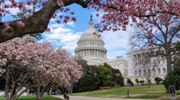 U.S. Capitol grounds magnolias in March 2020