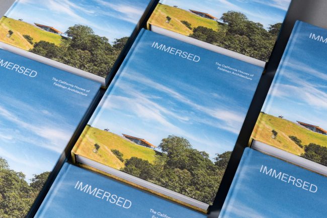 Immersed: The California Houses of Feldman Architecture