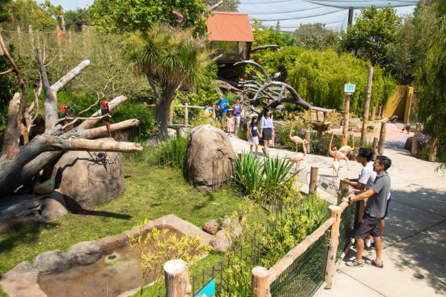 The Zoo is layered with natural elements from various viewpoints