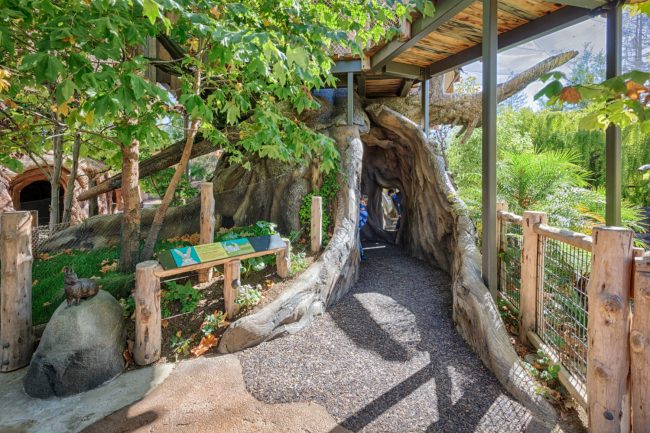 The Treehouse anchors the Zoo and creates a structure for kids to explore freely