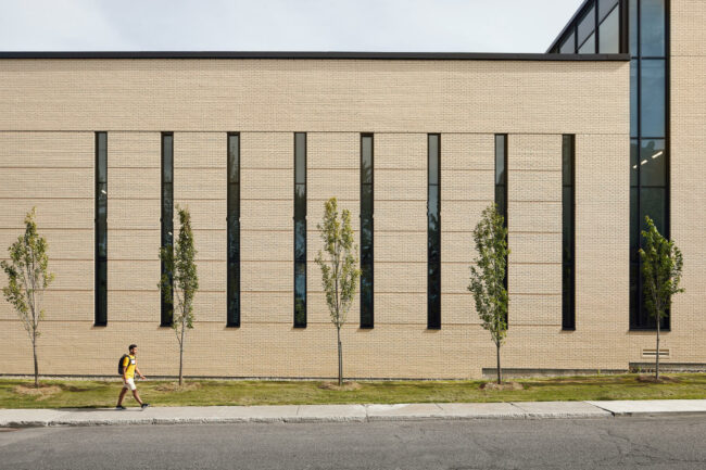 Exterior facade punctuated with vertical windows