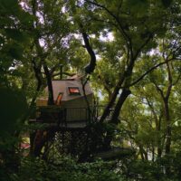 Takashi Kobayashi - The Craftsman Embracing the Transient Beauty of Treehouse Construction